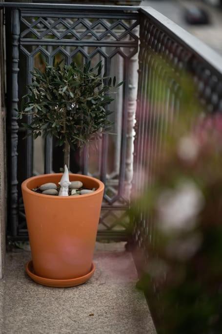 Porto Contemporary Apartment In City Center ภายนอก รูปภาพ